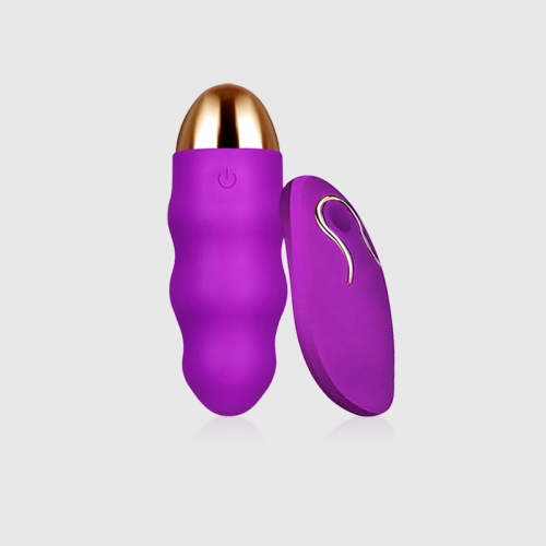 Silicone 10 Frequency Purple Egg Bullet Vibrator