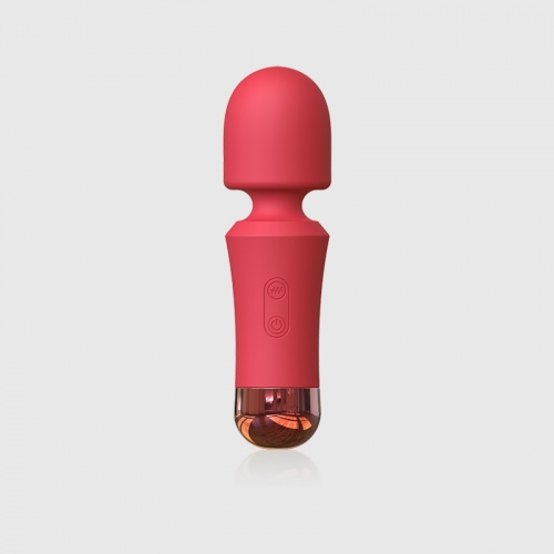 10 Band Dual Shock Magic Sex Wand Massager